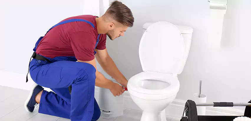 Scope of Bathroom Toilet Bowl Replacement Services in Greensburg, PA