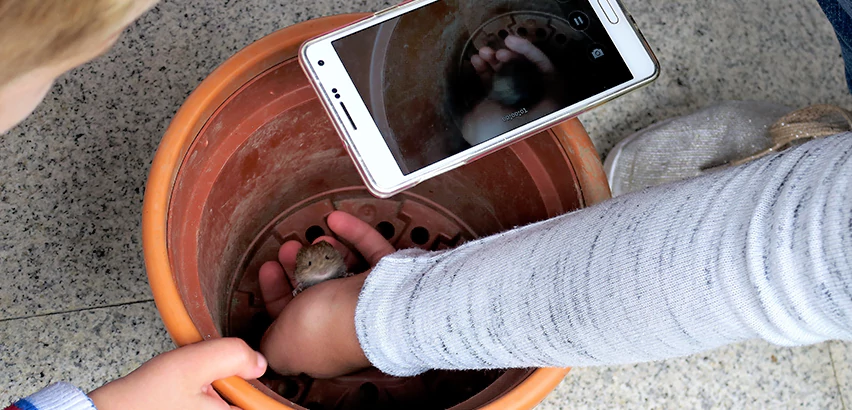 Scope of Drain Camera Inspection Services in Greensburg, PA