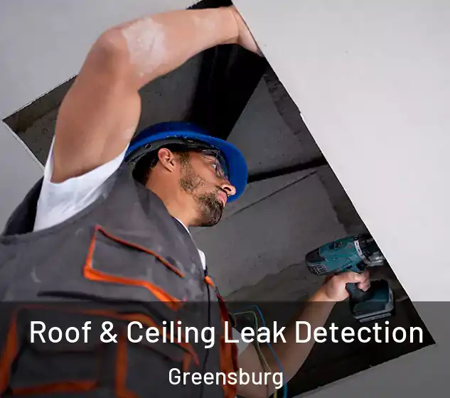  Roof & Ceiling Leak Detection Greensburg