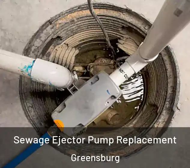  Sewage Ejector Pump Replacement Greensburg