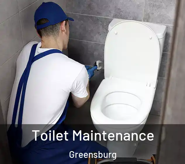  Toilet Maintenance Greensburg